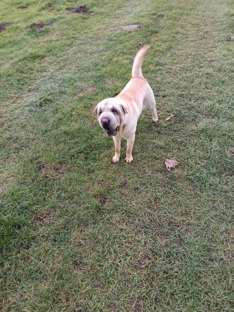 Hallo ich bin die Bella