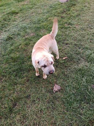 Hallo ich bin die Bella