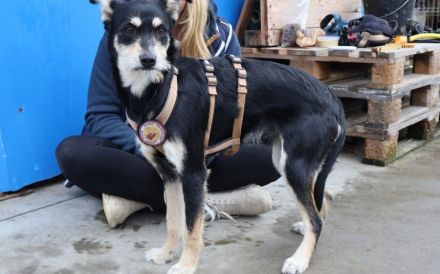 Kleiner Kämpfer Felipe sucht sein großes Glück