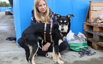 Kleiner Kämpfer Felipe sucht sein großes Glück