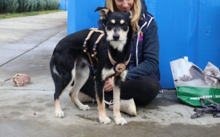 Kleiner Kämpfer Felipe sucht sein großes Glück