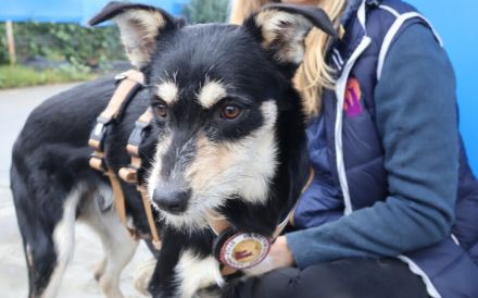 Kleiner Kämpfer Felipe sucht sein großes Glück