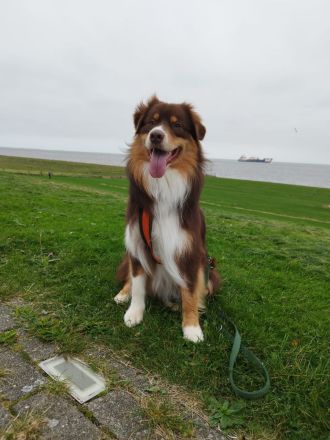 Arne of Diamond with Hearts