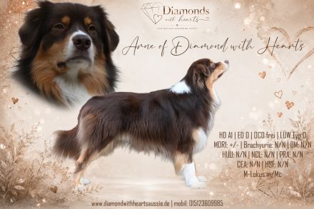 Arne of Diamond with Hearts
