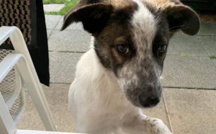 Helga ist bereit für ihr neues Leben