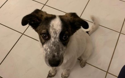 Helga ist bereit für ihr neues Leben