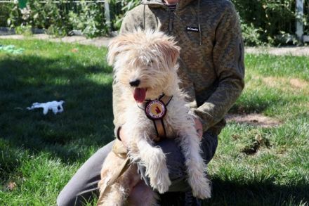 Freddie ist bereit für deine Abenteuer