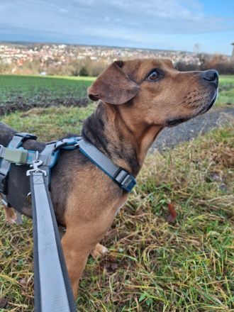 Sanfte Seelenfreundin Mathilda - ängstlich, aber unendlich treu und lieb