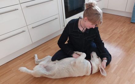 Zuhause gesucht für Nora