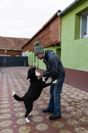 Hänsel sucht sein Für-immer-Zuhause