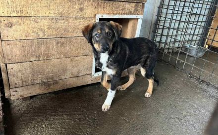 Der liebenswürdige Klaus sieht mit dem Herzen gut