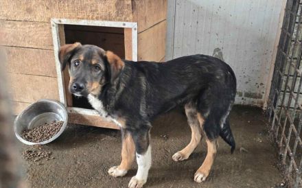 Der liebenswürdige Klaus sieht mit dem Herzen gut