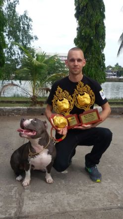 Pocket American Bully Welpen von EASTCOAST BULLYS MISS AFRIKA und BLACKPOWERS MR.MAXIMUS A-Wurf