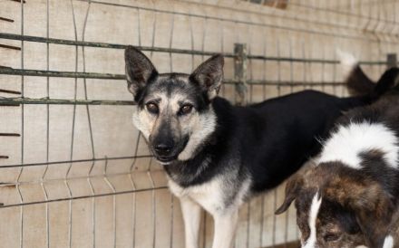 Dita sucht einfühlsame Menschen