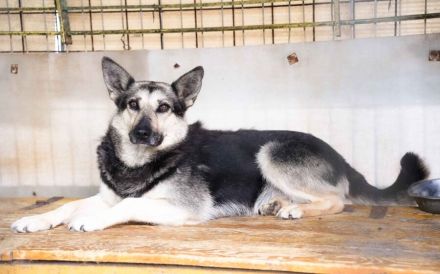 Dita sucht einfühlsame Menschen