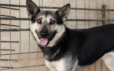 Dita sucht einfühlsame Menschen