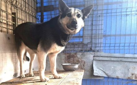 Dita sucht einfühlsame Menschen