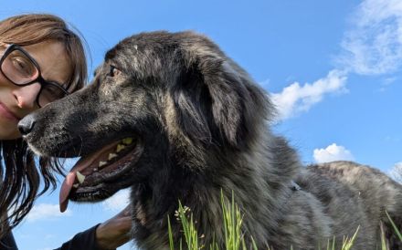 Olaf will endlich seine Menschen finden