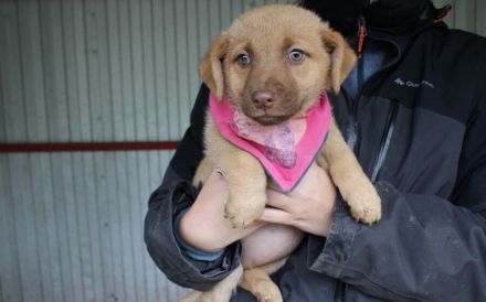 Süß, süßer...Ellie