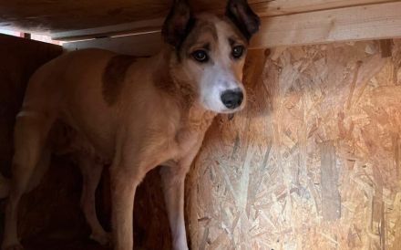 Fine sucht ihren sicheren Hafen