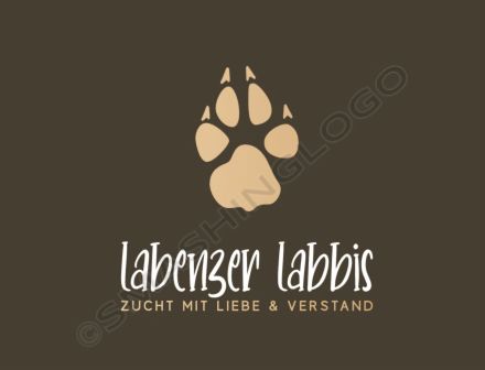 Wurfplanung 2026 - reinrassige Labrador Welpen