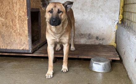 Churro - außen imposant, innen zuckersüß