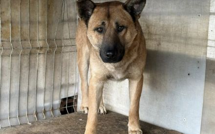 Churro - außen imposant, innen zuckersüß