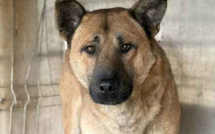 Churro - außen imposant, innen zuckersüß