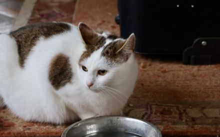 Lore sucht liebevolle Familie