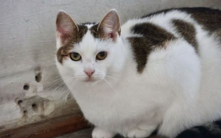 Lore sucht liebevolle Familie