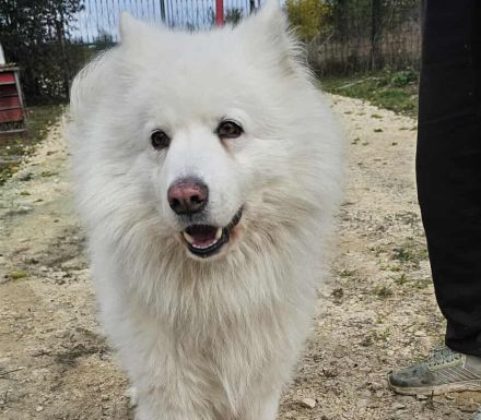 Über Tobi – auf der Suche nach einem sicheren Hafen