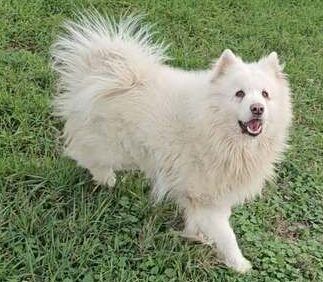 Über Tobi – auf der Suche nach einem sicheren Hafen