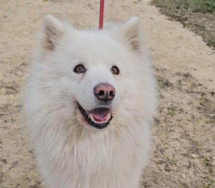 Über Tobi – auf der Suche nach einem sicheren Hafen