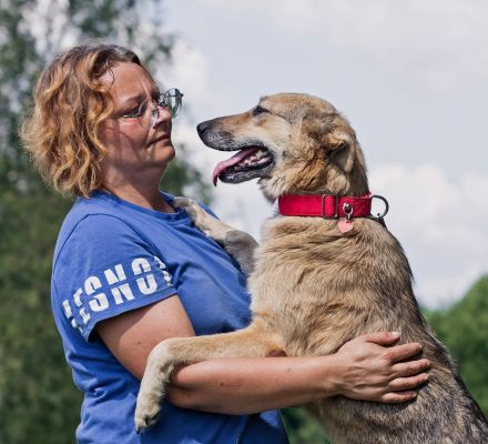 Die liebe und freundliche Zara wünscht sich schon lange ein Zuhause