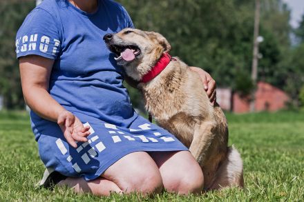 Die liebe und freundliche Zara wünscht sich schon lange ein Zuhause