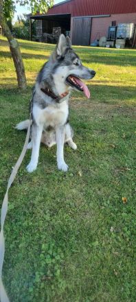 Von der Goldenen Burg