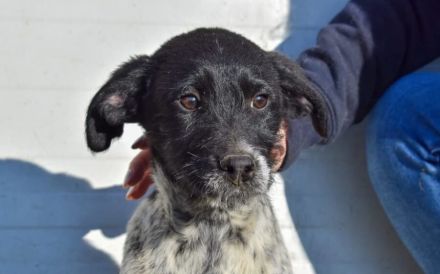 Hier kommt unsere Zaubermaus Kathi