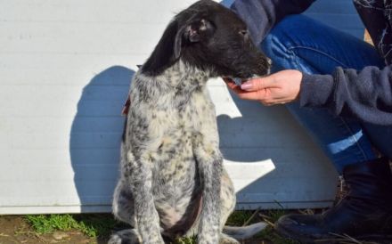 Hier kommt unsere Zaubermaus Kathi