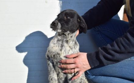 Hier kommt unsere Zaubermaus Kathi