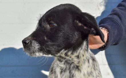 Hier kommt unsere Zaubermaus Kathi