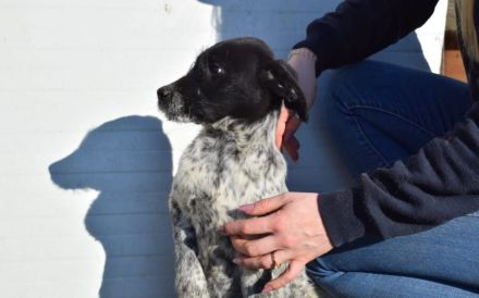 Hier kommt unsere Zaubermaus Kathi