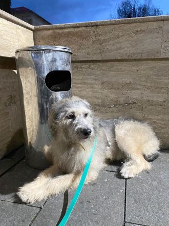 Titza sucht gemeinsame Spaziergänge