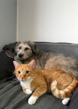 Titza sucht gemeinsame Spaziergänge