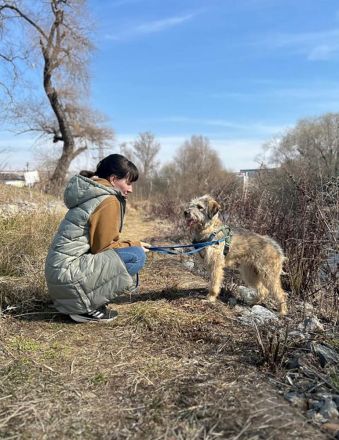 Titza sucht gemeinsame Spaziergänge