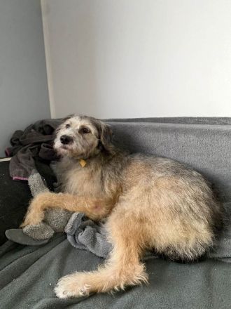 Titza sucht gemeinsame Spaziergänge