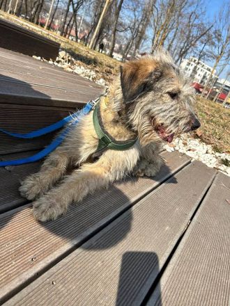 Titza sucht gemeinsame Spaziergänge