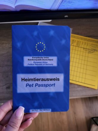 Wir suchen ein Mädchen für unseren Freund
