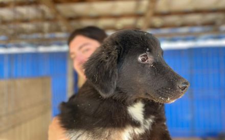 Die schöne Franzi sucht das Glück