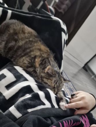 Unsere Chaos sucht ein liebevolles Zuhause