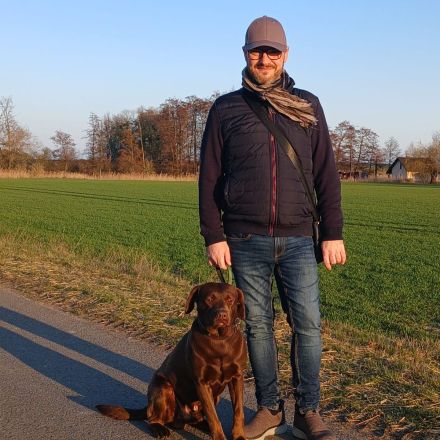 Labrador Welpen Schokobraun